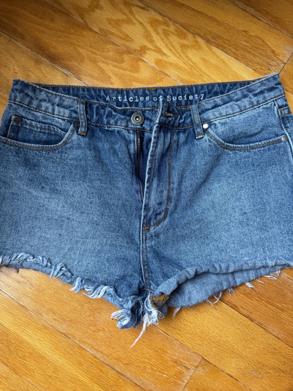 Articles of Society Blue Denim Frayed Hem Jean Shorts